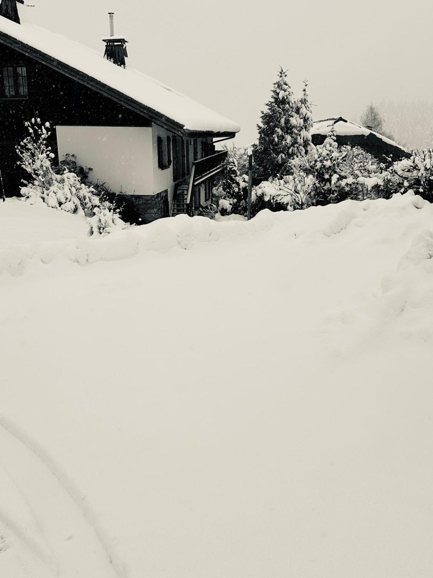 Chalet A Megeve-Vauvray - Grands Appartements , Vue Mont Blanc Demi-Quartier Exteriér fotografie